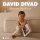 Скачать песню David Divad - Доченька любимая