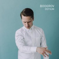 Скачать песню Boogrov - Swarm